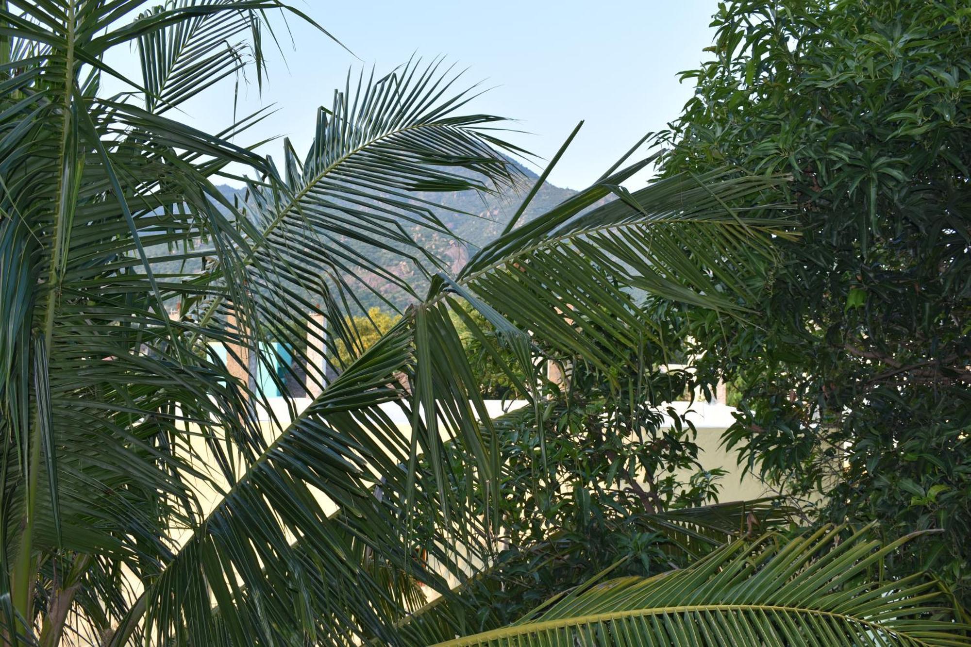 Rainbow Guest House Tiruvannāmalai Exteriör bild